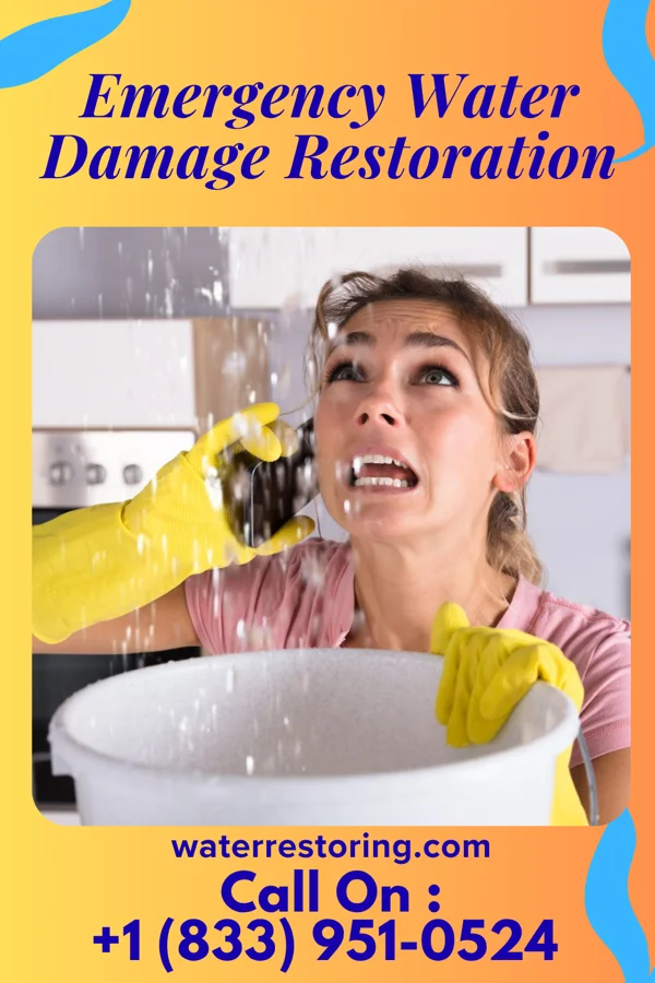 Emergency Water Damage Restoration in Morris, MN