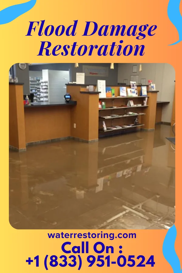 Flood Damage Restoration in Morris, MN