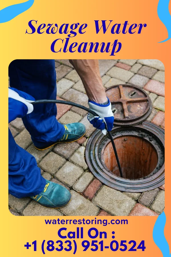 Sewage Water Cleanup in Morris, MN